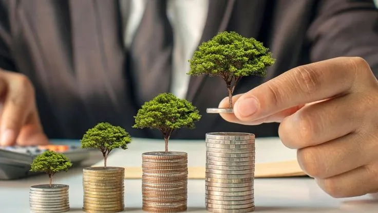 Microfinance Companies