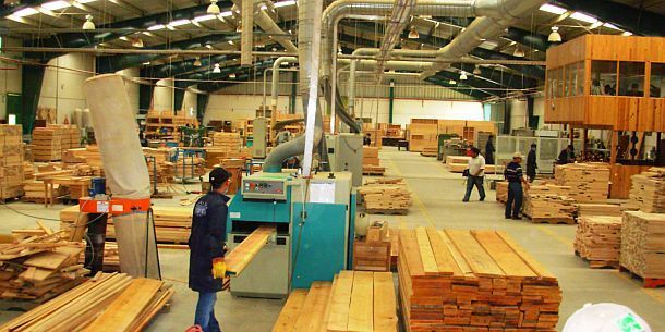 Wood Processing & Furniture Manufacturing